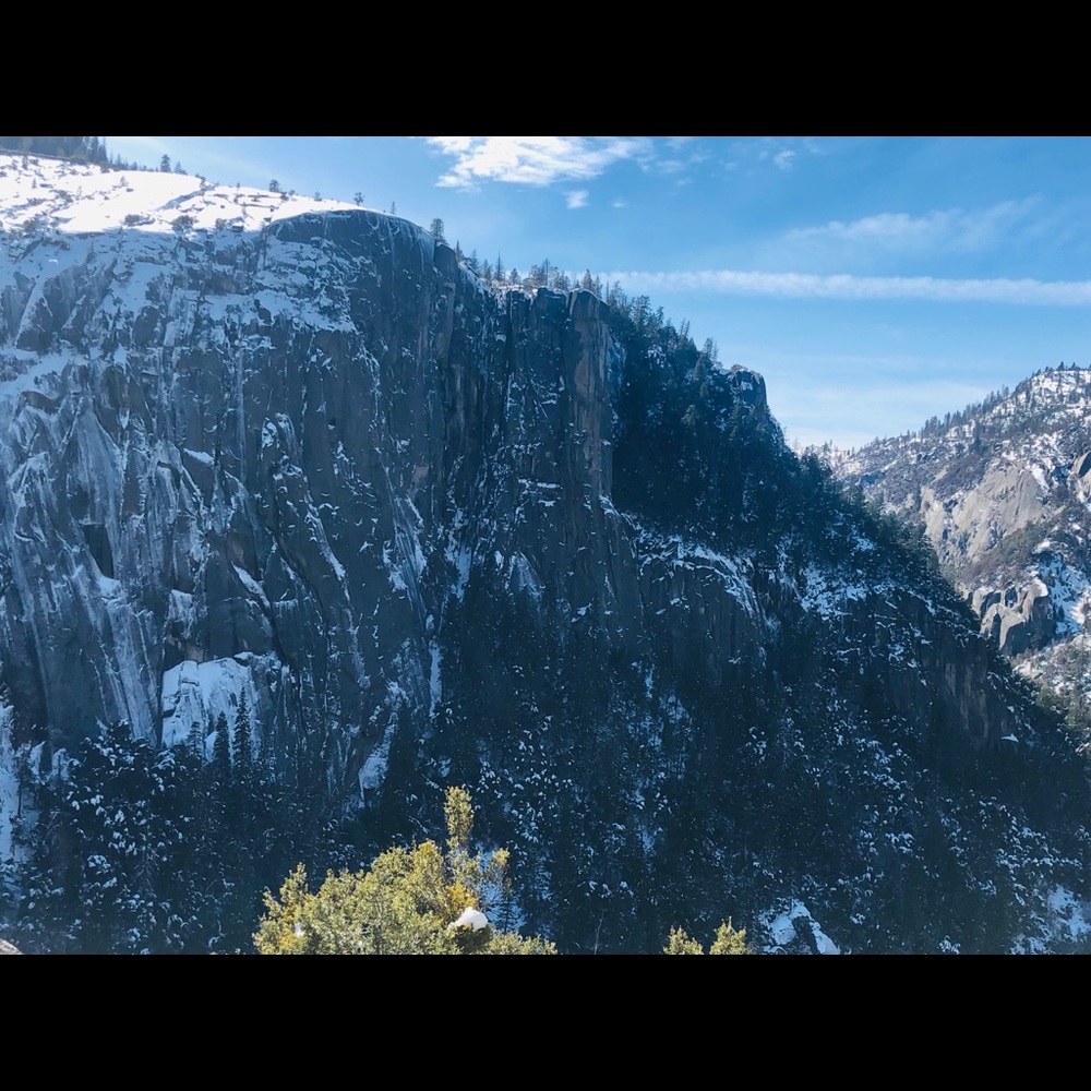 Meet your Posher, Joy